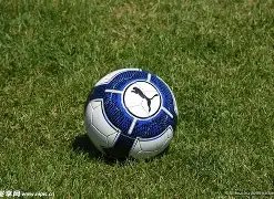 国图公开课,京剧名人技,艺分享会,bwin体育平台,bwin体育官方网站,bwin体育登录入口,bwin体育app下载