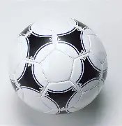 国王队教练,组明确,目前无蒙克,bwin体育平台,bwin体育官方网站,bwin体育登录入口,bwin体育app下载