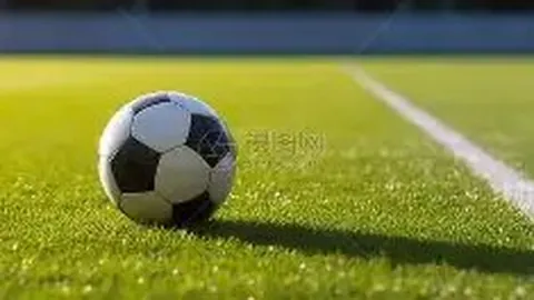 bwin体育 产品 093206 log