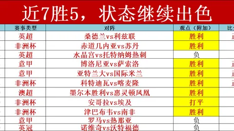 前国足球员王万鹏因斗殴案获刑